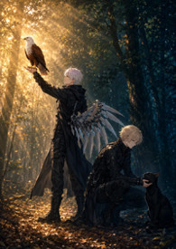 ��ա���ʯ���⣬��֯�����ө���è����