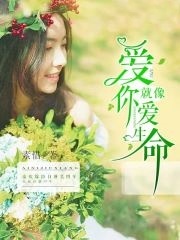 ����һ�׸��ʱ��