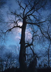 [�ҽ�ͬ��] ����������û